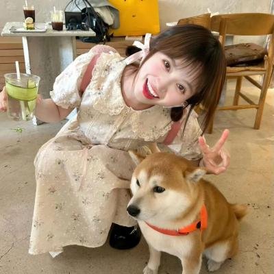 后宫